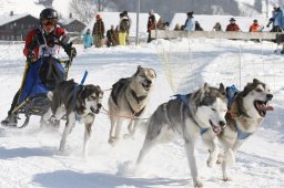 Lenk 2012 SM